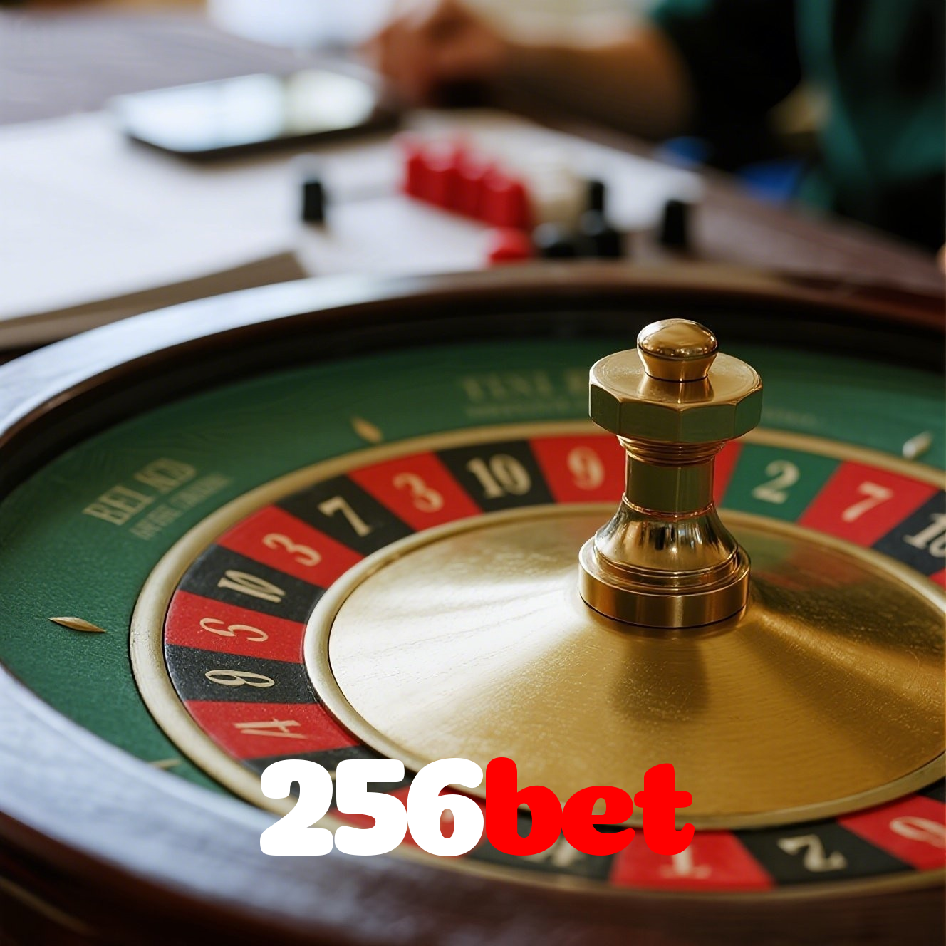 Problemas de Login no 256bet