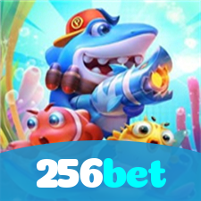 Problemas de Login no 256bet