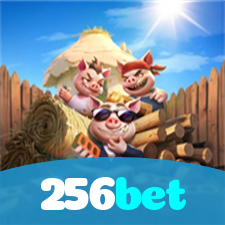 Segurança no 256bet