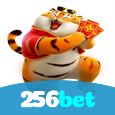 Segurança no 256bet