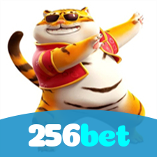 Problemas de Login no 256bet