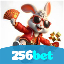Problemas de Login no 256bet