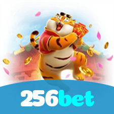 Segurança no 256bet